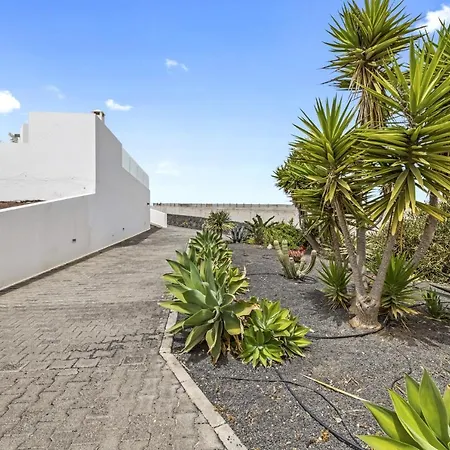 Flora - Vipvipvillas Playa Blanca (Lanzarote)